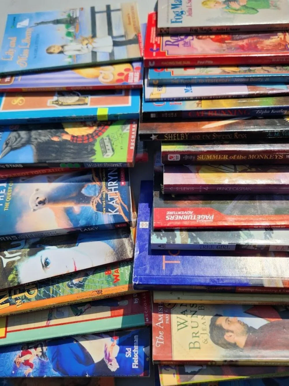 4 Book Bundle Lot Set Chapter Books Young Adult Literature Novels Mystery Books